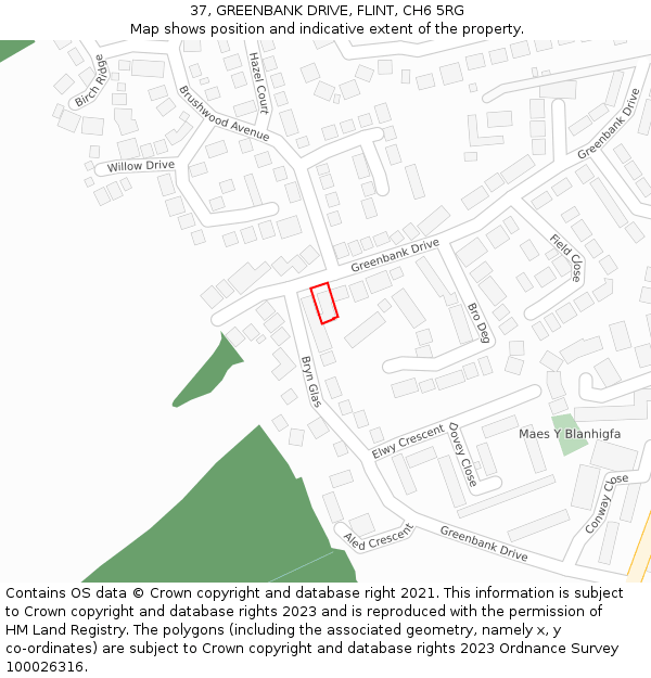 37, GREENBANK DRIVE, FLINT, CH6 5RG: Location map and indicative extent of plot