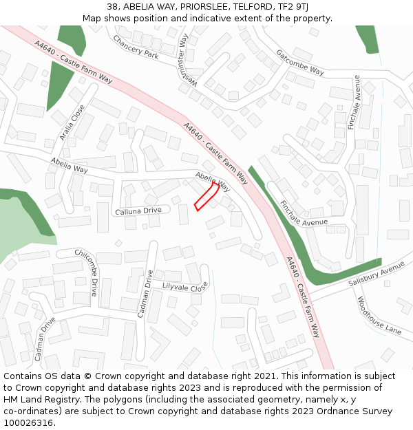 38, ABELIA WAY, PRIORSLEE, TELFORD, TF2 9TJ: Location map and indicative extent of plot