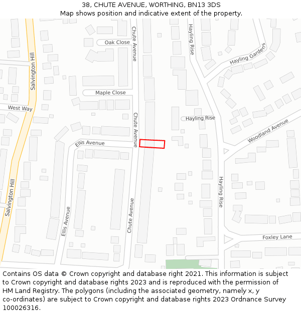 38, CHUTE AVENUE, WORTHING, BN13 3DS: Location map and indicative extent of plot