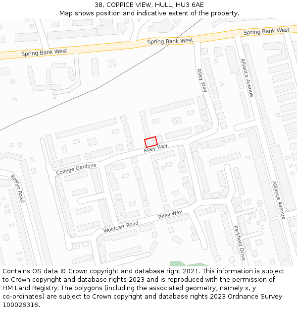 38, COPPICE VIEW, HULL, HU3 6AE: Location map and indicative extent of plot