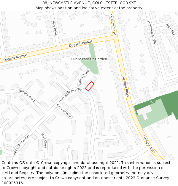 38, NEWCASTLE AVENUE, COLCHESTER, CO3 9XE: Location map and indicative extent of plot