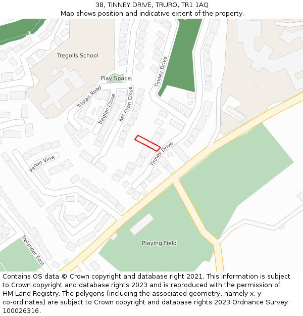 38, TINNEY DRIVE, TRURO, TR1 1AQ: Location map and indicative extent of plot