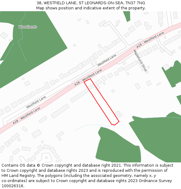 38, WESTFIELD LANE, ST LEONARDS-ON-SEA, TN37 7NG: Location map and indicative extent of plot