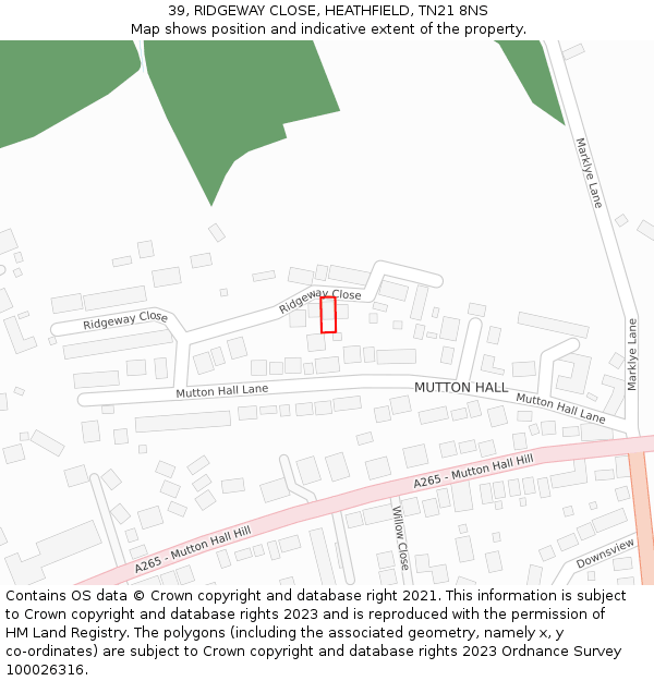 39, RIDGEWAY CLOSE, HEATHFIELD, TN21 8NS: Location map and indicative extent of plot