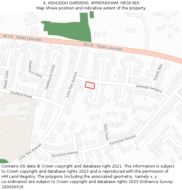 4, ASHLEIGH GARDENS, WYMONDHAM, NR18 0EX: Location map and indicative extent of plot