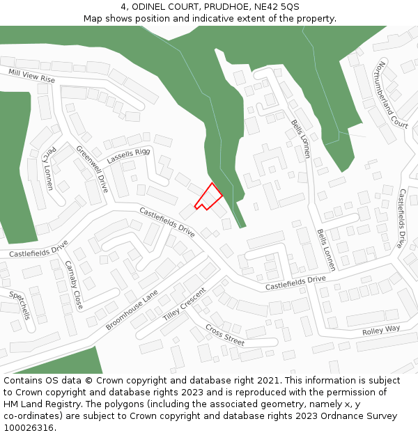 4, ODINEL COURT, PRUDHOE, NE42 5QS: Location map and indicative extent of plot