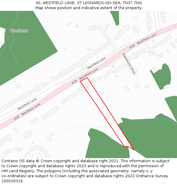 40, WESTFIELD LANE, ST LEONARDS-ON-SEA, TN37 7NG: Location map and indicative extent of plot