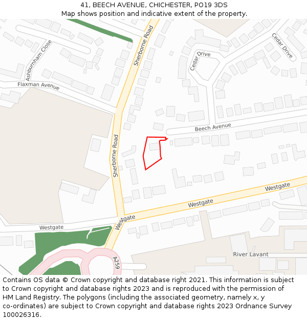 41, BEECH AVENUE, CHICHESTER, PO19 3DS: Location map and indicative extent of plot