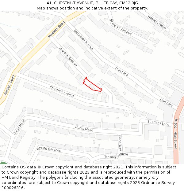 41, CHESTNUT AVENUE, BILLERICAY, CM12 9JG: Location map and indicative extent of plot