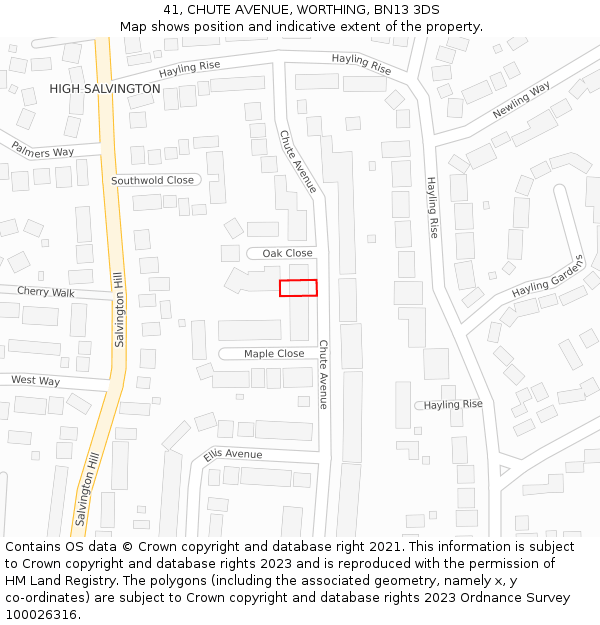 41, CHUTE AVENUE, WORTHING, BN13 3DS: Location map and indicative extent of plot