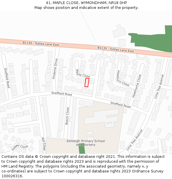 41, MAPLE CLOSE, WYMONDHAM, NR18 0HP: Location map and indicative extent of plot