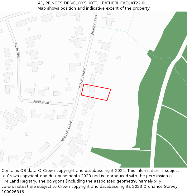 41, PRINCES DRIVE, OXSHOTT, LEATHERHEAD, KT22 0UL: Location map and indicative extent of plot