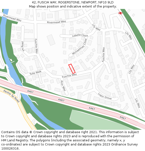 42, FUSCIA WAY, ROGERSTONE, NEWPORT, NP10 9LD: Location map and indicative extent of plot