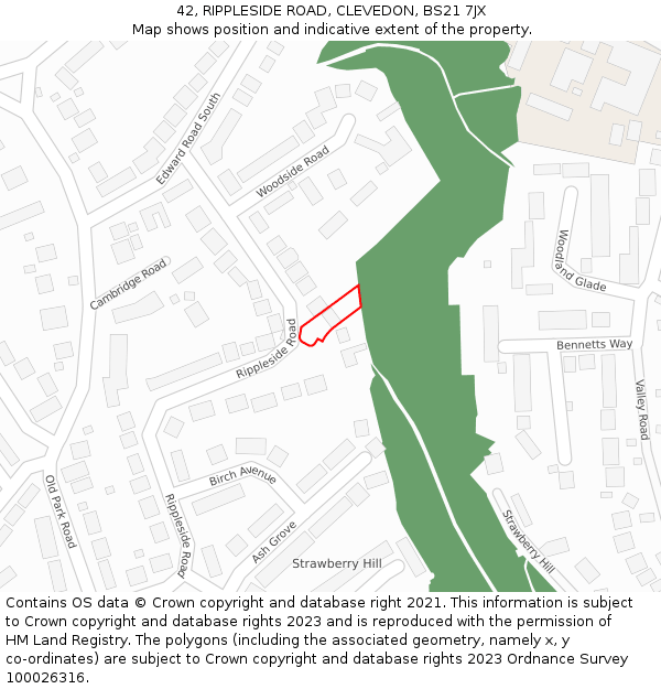 42, RIPPLESIDE ROAD, CLEVEDON, BS21 7JX: Location map and indicative extent of plot