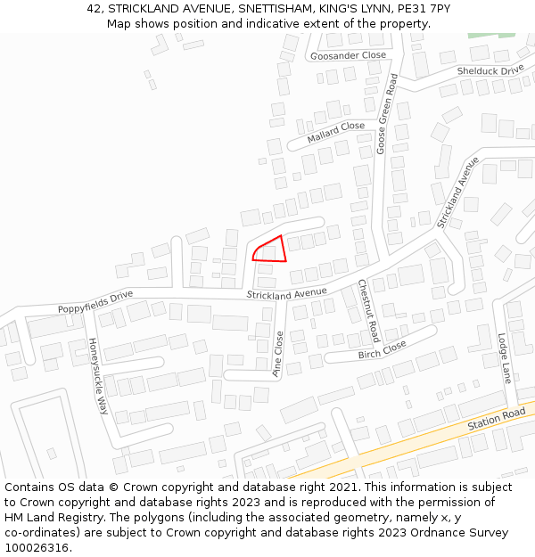 42, STRICKLAND AVENUE, SNETTISHAM, KING'S LYNN, PE31 7PY: Location map and indicative extent of plot