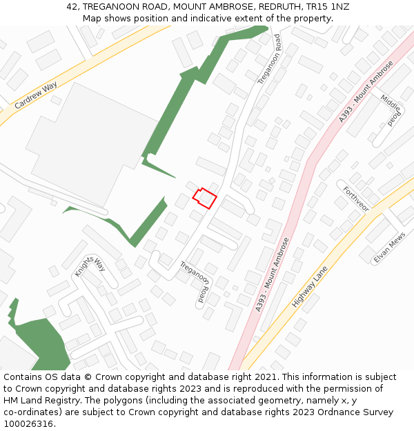 42, TREGANOON ROAD, MOUNT AMBROSE, REDRUTH, TR15 1NZ: Location map and indicative extent of plot