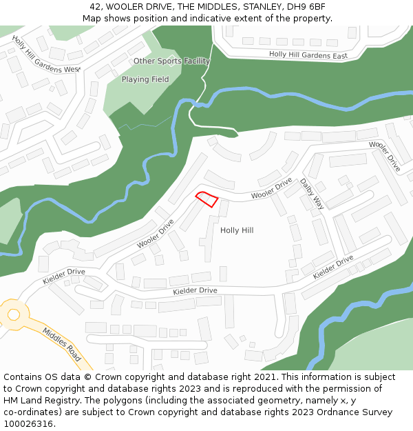 42, WOOLER DRIVE, THE MIDDLES, STANLEY, DH9 6BF: Location map and indicative extent of plot
