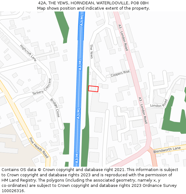 42A, THE YEWS, HORNDEAN, WATERLOOVILLE, PO8 0BH: Location map and indicative extent of plot