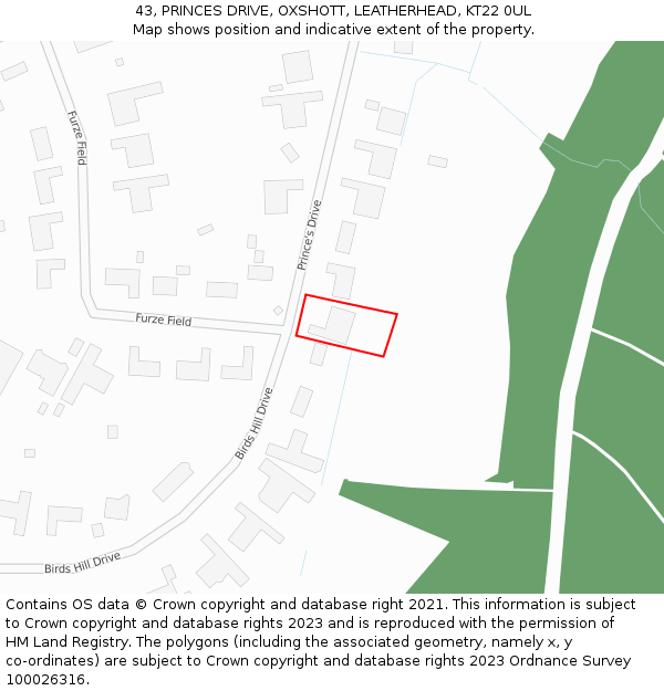 43, PRINCES DRIVE, OXSHOTT, LEATHERHEAD, KT22 0UL: Location map and indicative extent of plot