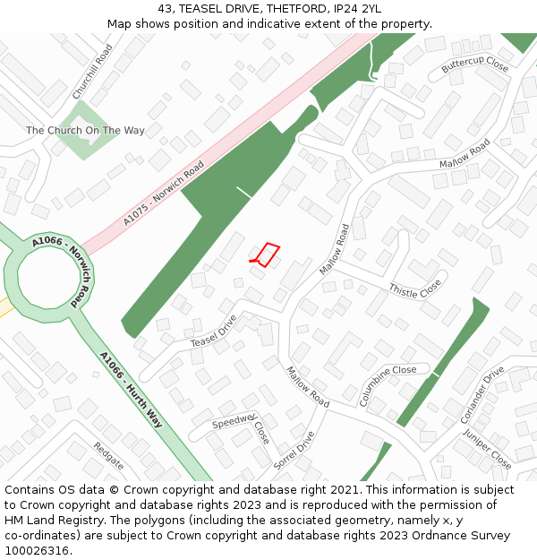43, TEASEL DRIVE, THETFORD, IP24 2YL: Location map and indicative extent of plot