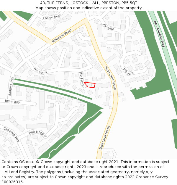 43, THE FERNS, LOSTOCK HALL, PRESTON, PR5 5QT: Location map and indicative extent of plot