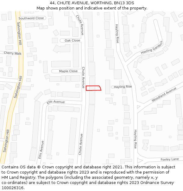 44, CHUTE AVENUE, WORTHING, BN13 3DS: Location map and indicative extent of plot