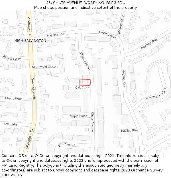 45, CHUTE AVENUE, WORTHING, BN13 3DU: Location map and indicative extent of plot