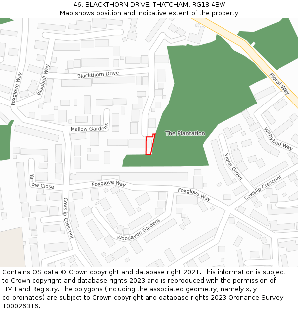 46, BLACKTHORN DRIVE, THATCHAM, RG18 4BW: Location map and indicative extent of plot