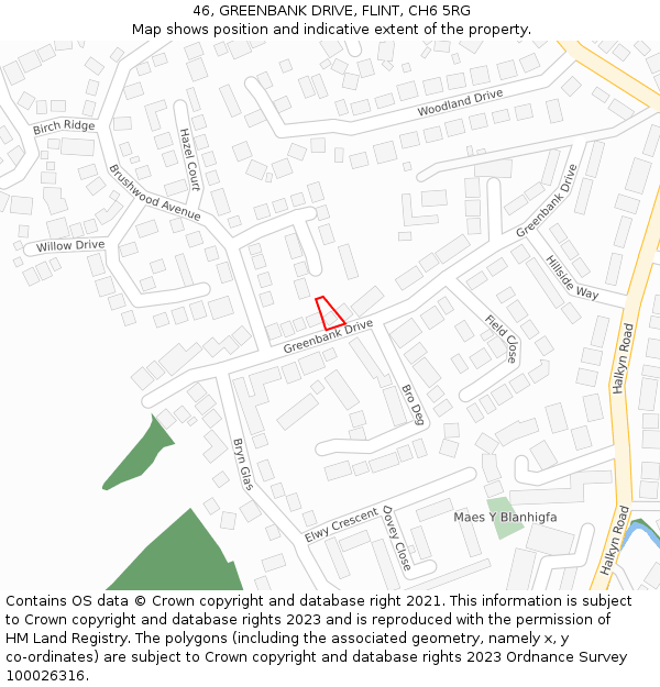 46, GREENBANK DRIVE, FLINT, CH6 5RG: Location map and indicative extent of plot