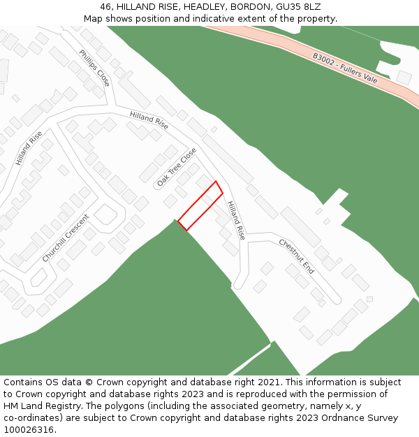 46, HILLAND RISE, HEADLEY, BORDON, GU35 8LZ: Location map and indicative extent of plot