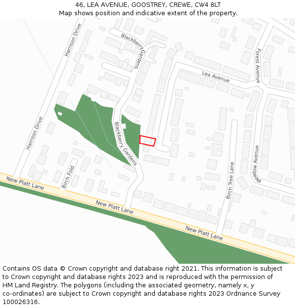 46, LEA AVENUE, GOOSTREY, CREWE, CW4 8LT: Location map and indicative extent of plot