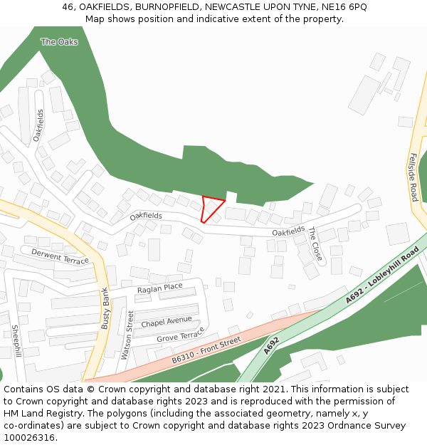 46, OAKFIELDS, BURNOPFIELD, NEWCASTLE UPON TYNE, NE16 6PQ: Location map and indicative extent of plot