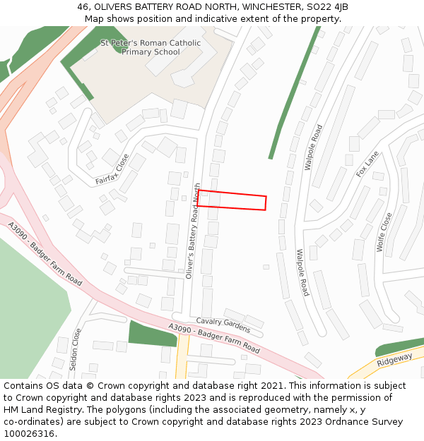 46, OLIVERS BATTERY ROAD NORTH, WINCHESTER, SO22 4JB: Location map and indicative extent of plot