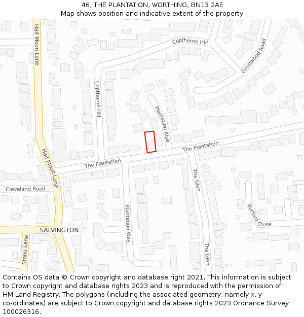 46, THE PLANTATION, WORTHING, BN13 2AE: Location map and indicative extent of plot