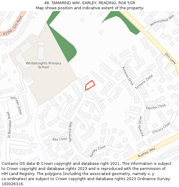 48, TAMARIND WAY, EARLEY, READING, RG6 5GR: Location map and indicative extent of plot
