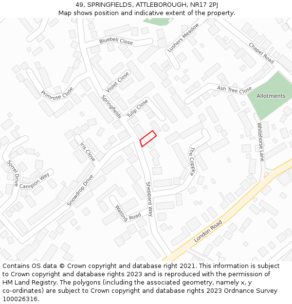 49, SPRINGFIELDS, ATTLEBOROUGH, NR17 2PJ: Location map and indicative extent of plot