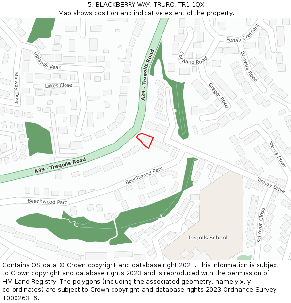 5, BLACKBERRY WAY, TRURO, TR1 1QX: Location map and indicative extent of plot