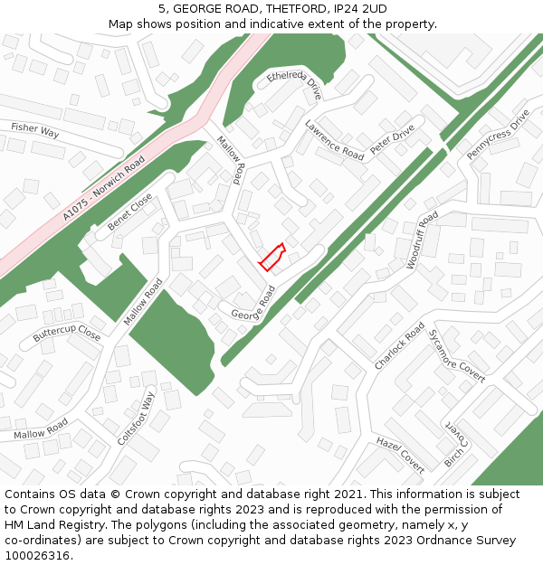 5, GEORGE ROAD, THETFORD, IP24 2UD: Location map and indicative extent of plot