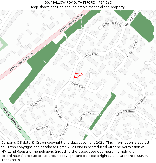 50, MALLOW ROAD, THETFORD, IP24 2YD: Location map and indicative extent of plot