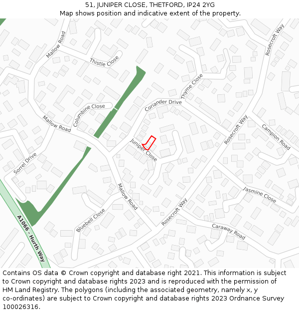 51, JUNIPER CLOSE, THETFORD, IP24 2YG: Location map and indicative extent of plot