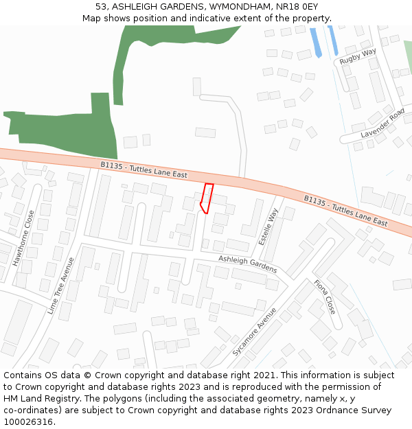 53, ASHLEIGH GARDENS, WYMONDHAM, NR18 0EY: Location map and indicative extent of plot