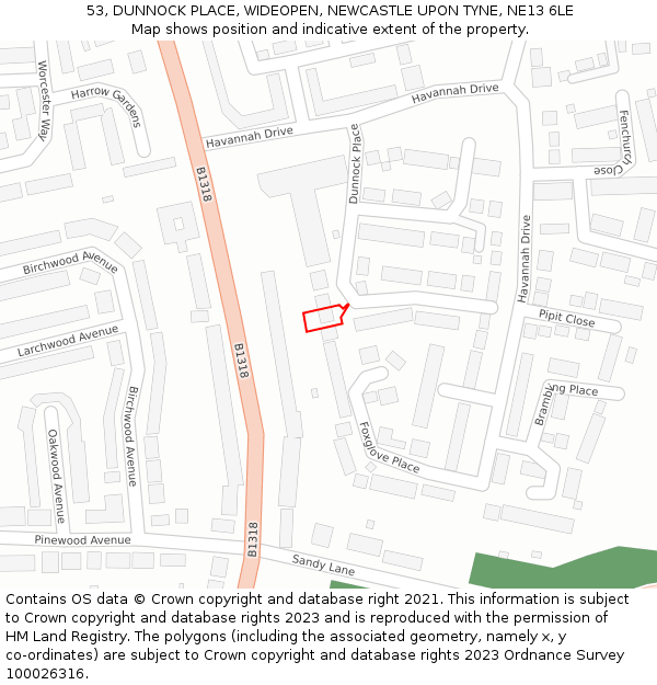 53, DUNNOCK PLACE, WIDEOPEN, NEWCASTLE UPON TYNE, NE13 6LE: Location map and indicative extent of plot