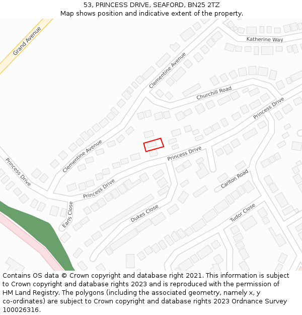53, PRINCESS DRIVE, SEAFORD, BN25 2TZ: Location map and indicative extent of plot