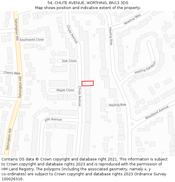 54, CHUTE AVENUE, WORTHING, BN13 3DS: Location map and indicative extent of plot