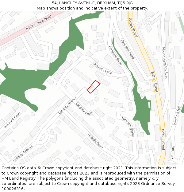 54, LANGLEY AVENUE, BRIXHAM, TQ5 9JG: Location map and indicative extent of plot