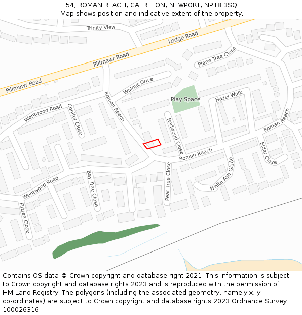 54, ROMAN REACH, CAERLEON, NEWPORT, NP18 3SQ: Location map and indicative extent of plot