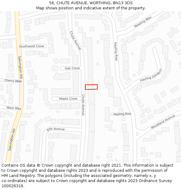 56, CHUTE AVENUE, WORTHING, BN13 3DS: Location map and indicative extent of plot