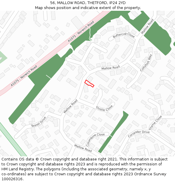 56, MALLOW ROAD, THETFORD, IP24 2YD: Location map and indicative extent of plot