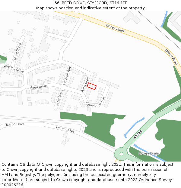 56, REED DRIVE, STAFFORD, ST16 1FE: Location map and indicative extent of plot
