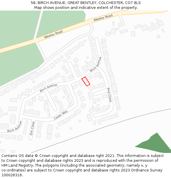 58, BIRCH AVENUE, GREAT BENTLEY, COLCHESTER, CO7 8LS: Location map and indicative extent of plot